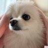 Profilbild von たまつくり