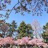 Фото профиля ゆるく頑張る人間