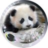Profilbild von ꒰ঌゆあん໒꒱