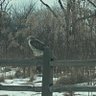 January 20th 的头像