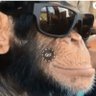 Profilbild von MONKEYBOY