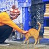 Conrad Rayshun profil fotoğrafı