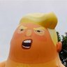 Anty Agent Orange's profile picture
