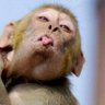 Фото профиля FUNNY GUY