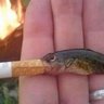Izzy_Fishy profil fotoğrafı