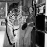 𝓣𝓲𝓰𝓮𝓻 🐅 的头像