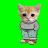 Nguyễn CaT .ink's profile picture