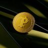 Pi友's profile picture