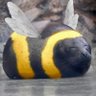 フミン・ショウ's profile picture