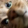 Profilbild von とみぃ
