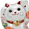 Фото профиля 招きNeko tan