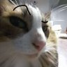 Inwza007 profil fotoğrafı