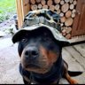 Hatti🐾's profile picture