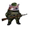 SweFella For Ukraine 🇸🇪🇺🇦🇬🇪🇮🇱🇪🇺 的头像