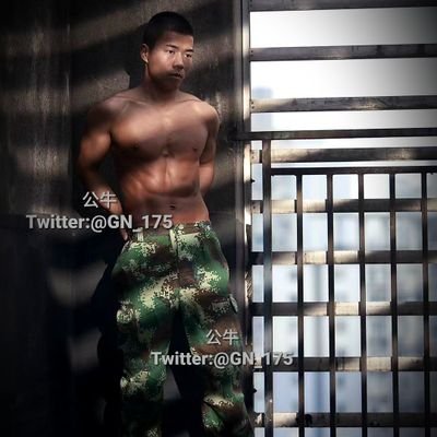 GN_175's profile picture