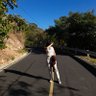 Malena Peralta profil fotoğrafı