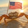 CrabMonster2 的头像
