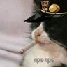 Profilbild von ODK game