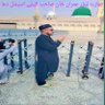 Tufail Mayal 的头像