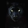 Profilbild von UniteBlacks