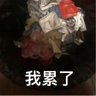 zy 的头像