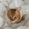 rrakyim:) profil fotoğrafı