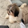 Jessis profil fotoğrafı