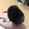 牛牛 的头像