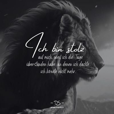 Sternenreiter's profile picture