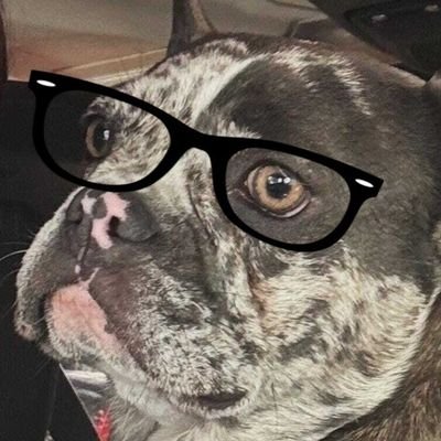 Pindterest💙's profile picture