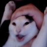 Zabrios 🟢⚫'s profile picture