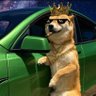 Фото профиля DogeBestFriend 🌍👅