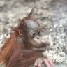 lilop profil fotoğrafı