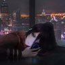 aude93360 的头像