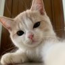 kayy profil fotoğrafı