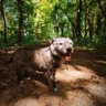 HErla profil fotoğrafı
