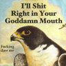 Shawn Sundberg's profile picture
