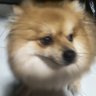 Profilbild von Ry