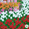 Profilbild von ねこママ