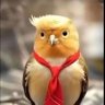 sdsaay's profile picture