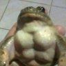Wed profil fotoğrafı