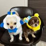 さー's profile picture