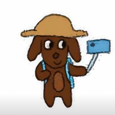寂寞玫瑰's profile picture