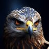 Profilbild von العُقاب🏴🦅 (🔻)