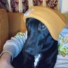 Adelhyde's profile picture