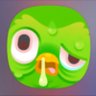 Фото профиля funny_duolingo