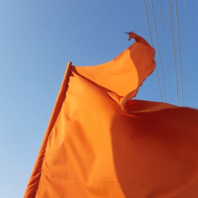 Ayush Tiwari's profile picture