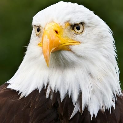 Bestmodefit's profile picture