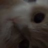 Profilbild von Daniel