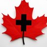 Фото профиля New Day Canada